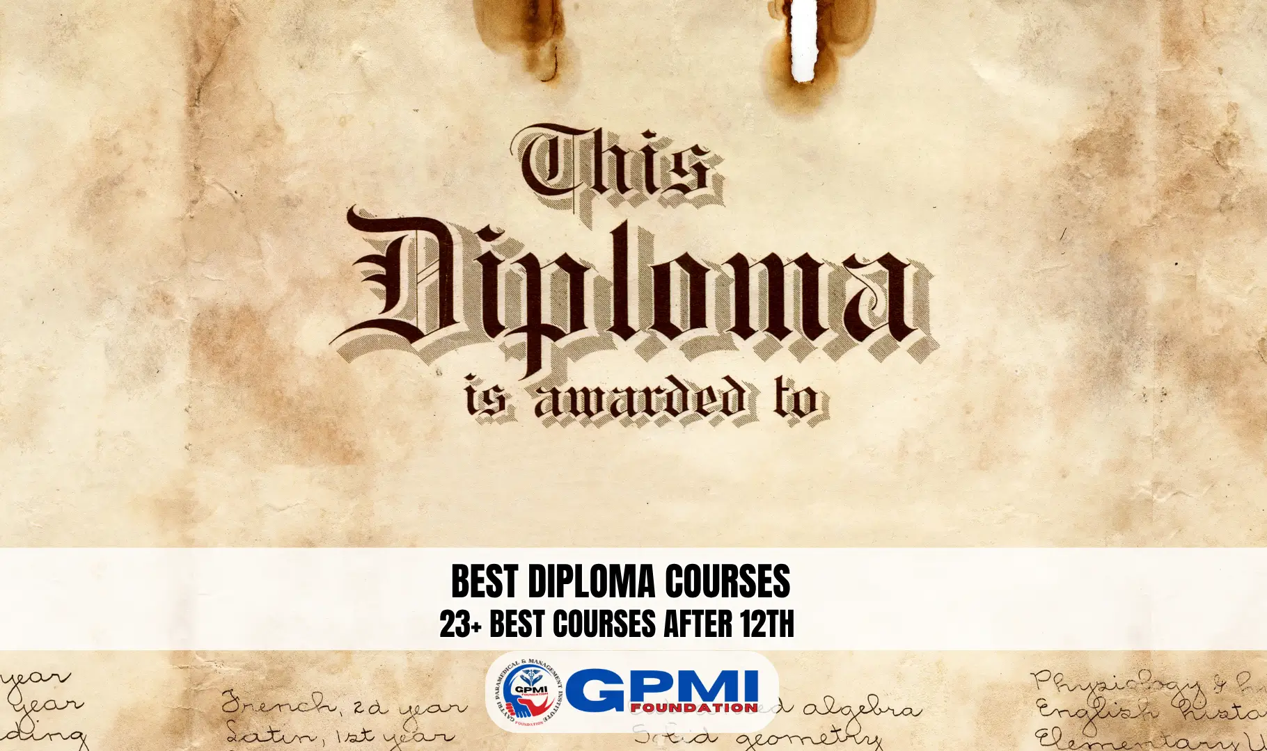 23+ Best Diploma Courses After 12th for Career Focused Path
